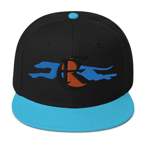 DESIGNER HATS Snapback Hat