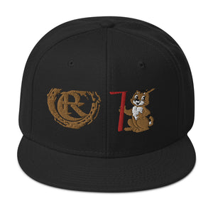 DESIGNER HATS Snapback Hat