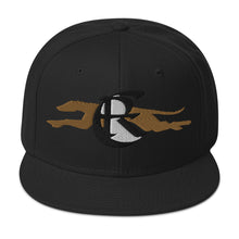 Load image into Gallery viewer, DESIGNER HATS Snapback Hat