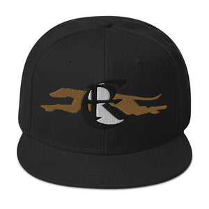 DESIGNER HATS Snapback Hat