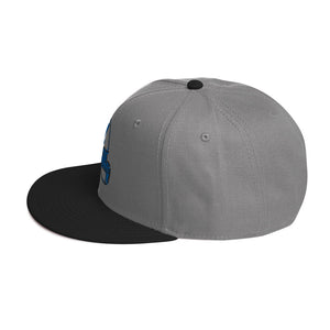 DESIGNER HATS Snapback Hat