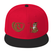 Load image into Gallery viewer, DESIGNER HATS Snapback Hat