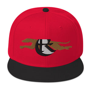 DESIGNER HATS Snapback Hat