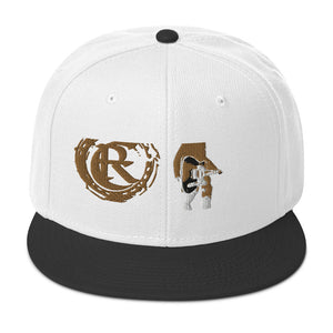 DESIGNER HATS Snapback Hat