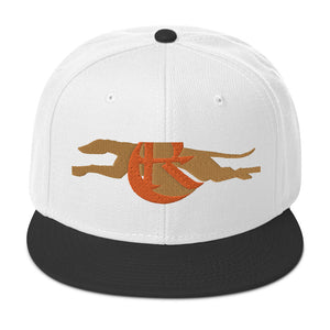 DESIGNER HATS Snapback Hat