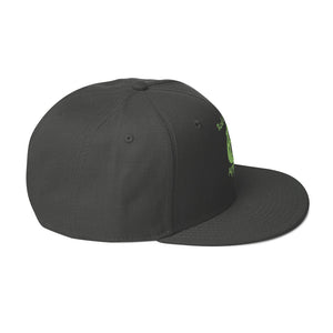 DESIGNER HATS Snapback Hat