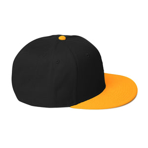 DESIGNER HATS Snapback Hat