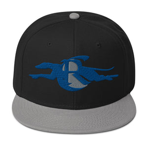 DESIGNER HATS Snapback Hat