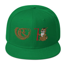 Load image into Gallery viewer, DESIGNER HATS Snapback Hat