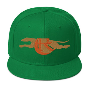 DESIGNER HATS Snapback Hat