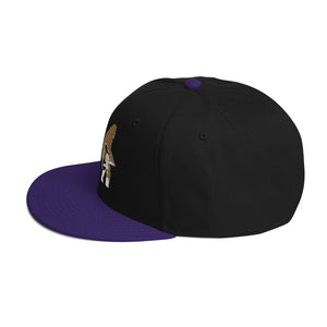 DESIGNER HATS Snapback Hat