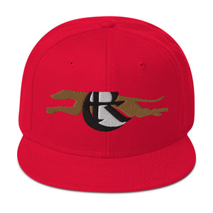 DESIGNER HATS Snapback Hat