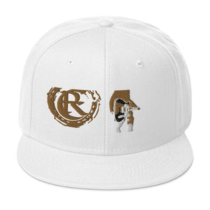 DESIGNER HATS Snapback Hat