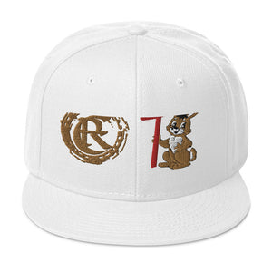 DESIGNER HATS Snapback Hat