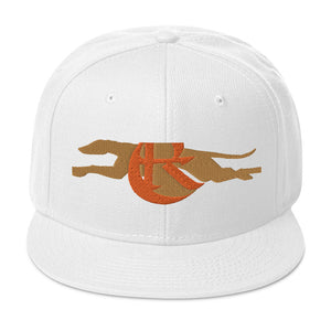 DESIGNER HATS Snapback Hat