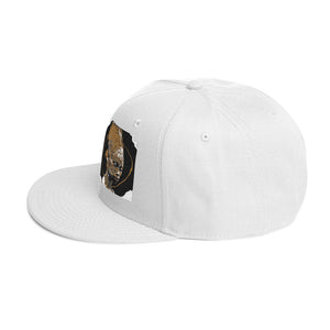 DESIGNER HATS Snapback Hat