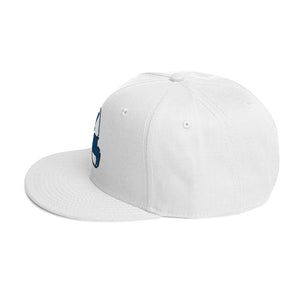 DESIGNER HATS Snapback Hat