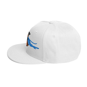 DESIGNER HATS Snapback Hat