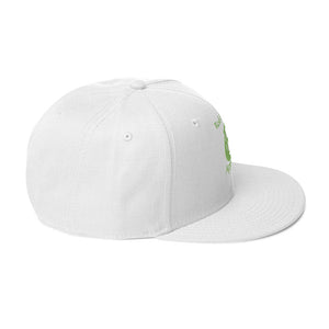 DESIGNER HATS Snapback Hat