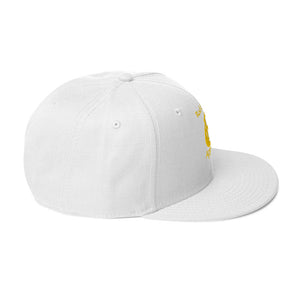 DESIGNER HATS Snapback Hat