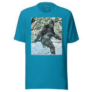 DESIGNER T-SHIRTS