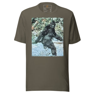 DESIGNER T-SHIRTS
