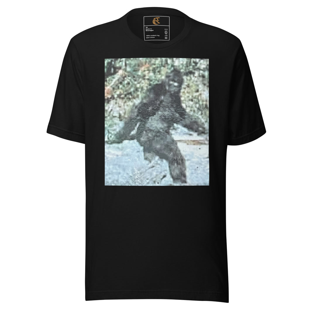 DESIGNER T-SHIRTS