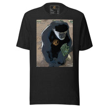 Load image into Gallery viewer, DESIGNER T-SHIRTS