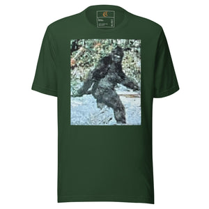 DESIGNER T-SHIRTS