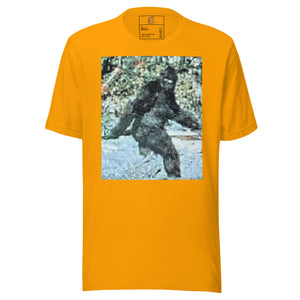 DESIGNER T-SHIRTS