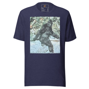 DESIGNER T-SHIRTS