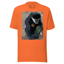 Load image into Gallery viewer, DESIGNER T-SHIRTS