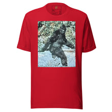 Load image into Gallery viewer, DESIGNER T-SHIRTS