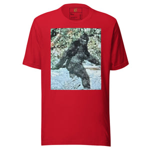 DESIGNER T-SHIRTS