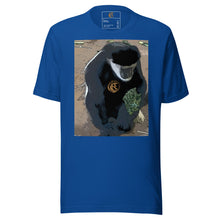 Load image into Gallery viewer, DESIGNER T-SHIRTS